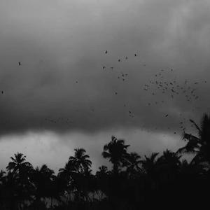 国产欧美成人不卡视频
